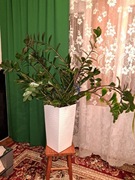 Kwiat doniczkowy duży 