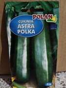 Cukinia "Astra Polka"