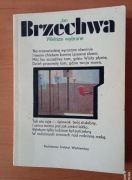 Wiersze wybrane - Jan Brzechwa