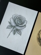 Rysunek kwiat róża grafika artystyczna ramka