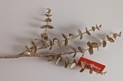 DEKORACJA ŚWIĄTECZNA GAŁĄZKA DO STROIKÓW 70 CM