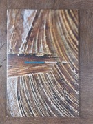 Elżbieta Dzikowska Odniesienia 2006