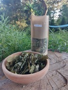 Liść orzecha włoskiego, Orzech włoski