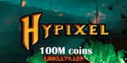 Hypixel Skyblock Coins | 100M | Szybka i Bezpieczna dostawa | CZYTAJ OPIS