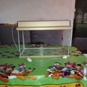 Akwarium 60x35x30 z lampą duży wybór modeli 