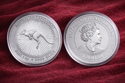 Australijski Kangur 2020 1 oz Ag .9999 Perth Mint moneta srebrna