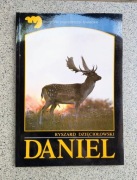 Ryszard Dzięciołowski - Daniel (miękka)