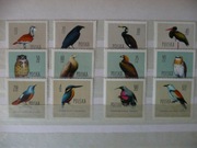 PTAK CHRONIONE W POLSCE  SERIA CZYSTA Z KLEJEM