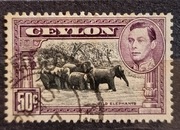 Jerzy VI. Wild Elephants. 50 cent. Cejlon. Sri Lanka