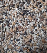 Specjalna mieszanka ziaren dla Messor barbarus 15gram /25ml. 