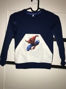 Bluza R 116 Spider-man