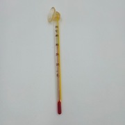 Akwarium Szklany termometr akwariowy z przyssawką