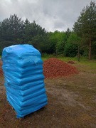 Kora sosnowa świeża, paleta 42szt. Cała polska Transport GRATIS