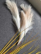 Sztuczna trawa pampasowa