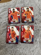 karty FIFA world cup qatar2022 holandia