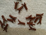 Lego Łodyga gałązka brązowy 68211 dziesięć sztuk 