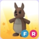 Kangaroo FR | Fly Ride Pet | Adopt Me | Roblox