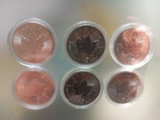 6 srebrnych monet uncjowych Kanadyjski Liść Klonowy 9999 różne roczniki