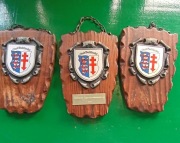 Herb pamiątkowa plakietka miasta Bad Hersfeld Niemcy