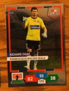 Ekstraklasa 2013 / 2014 Bramkarze Richard Zajac Podbeskidzie