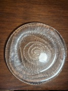 Talerzyk skamielina Ząbkowice Eryka Trzewik Drozd