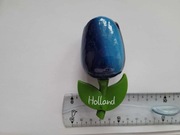 Magnes na lodówkę - 277d. HOLANDIA Duży Tulipan