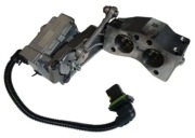 EGR Man TGX 2019 < 2025 TG3