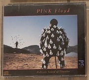 Pink Floyd Delicate Sound Of Thunder wyd. 1988