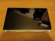 Matryca 17.3" 1920x1080 Full HD 144Hz LED Matowa IPS