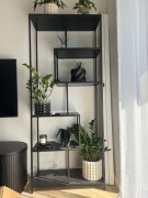 Regat Seaford z Westwing