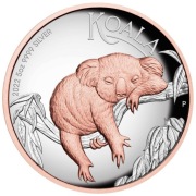 Srebrna Moneta Australijski Koala Pozłacana Wysoki Relief 2022, 5 oz, Proof