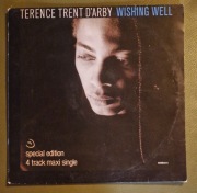 Terence Trent D'Arby, Wishing Well, płyta winylowa 12" EP. CBS 1987