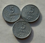 5 groszy 1962 zestaw 3 sztuki  Stan !!  Wyprzedaż 