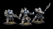 Legion of Everblight Warmongers x3. Warmachine.