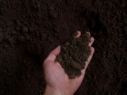 Ziemia Ogrodowa Siana Czarnoziem Humus Kraków