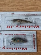 Zestaw 2 woblerów Janusza Ryczkowskiego Koza 50 i J-40 