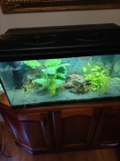 Akwarium 112l plus akcesoria 