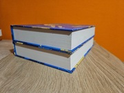 Unsouled i Undivided Neal Shusterman