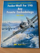 Focke Wulf Fw190 asy frontu zachodniego