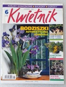 Miesięcznik Kwietnik 6 (78) czerwiec 2001