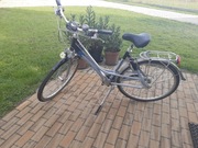 Rower damka Gazelle Medeo