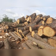 Tarcica 33/55mm dąb jesion dab czerwony 1,2 2,4m