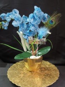 Storczyk w złotej donicy 