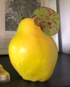 Pigwa owoce na nalewki, przetwory / Cydonia oblonga