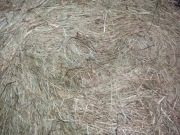 Siano sianko gryzoń królik 6, 7, 8, 9, 10, 11, 12, 13, 14 7000 g 7 kg