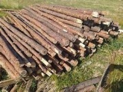 Stemple drewniane dł. ok 2,9m