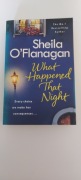 Sheila O'flanagan 'What happened that night'