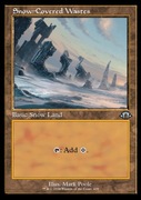 MTG Magic the Gathering - Snow-Covered Wastes FOIL