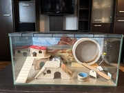 Klatka Akwarium Terrarium szklana dla chomika + akcesoria wyposażenie