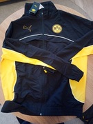 Kurtka puma Borussia Dortmund orginalna nowa rozm M